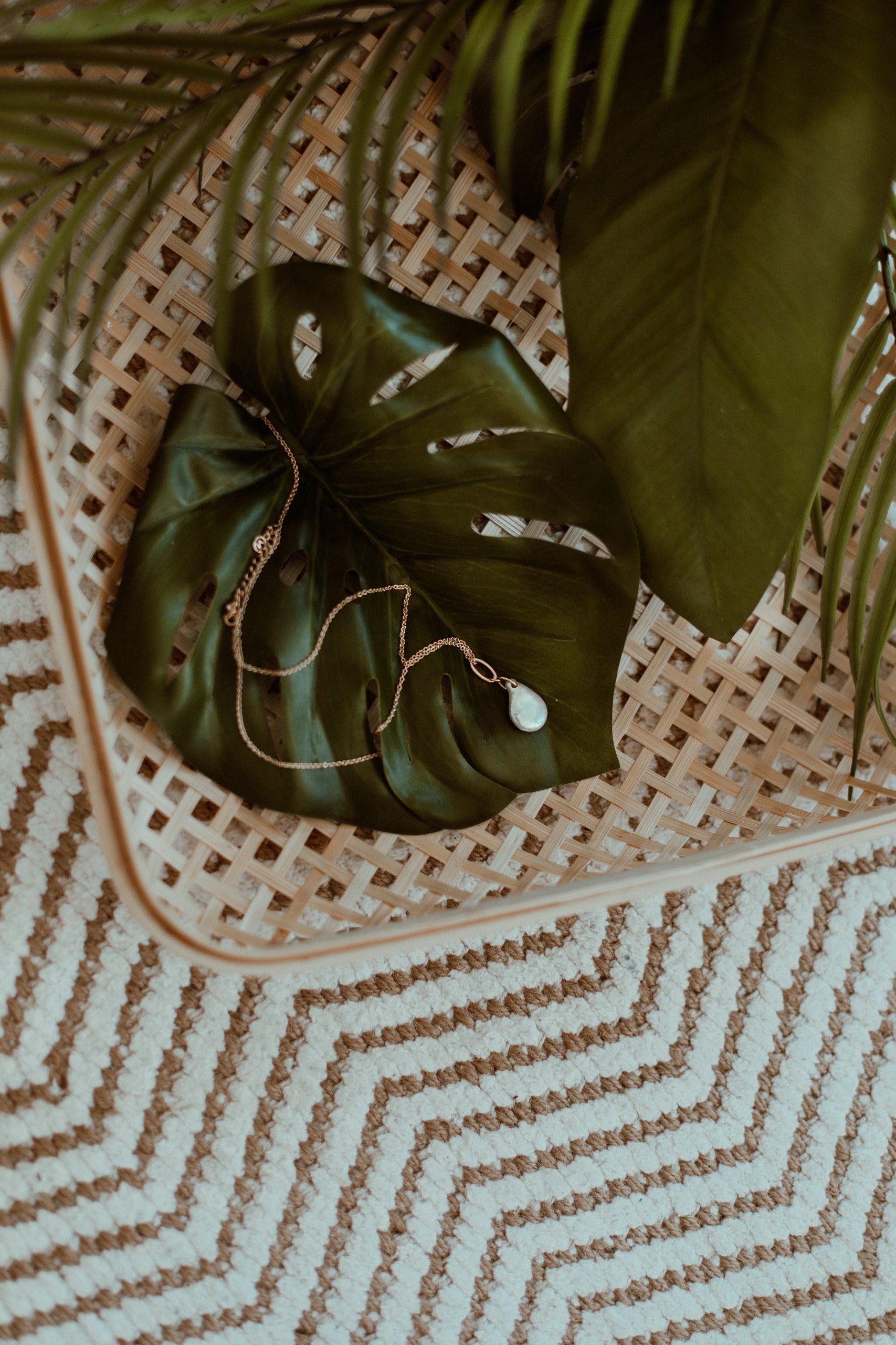 necklace laying on a monstera leaf